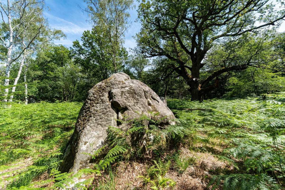 Fontainebleau